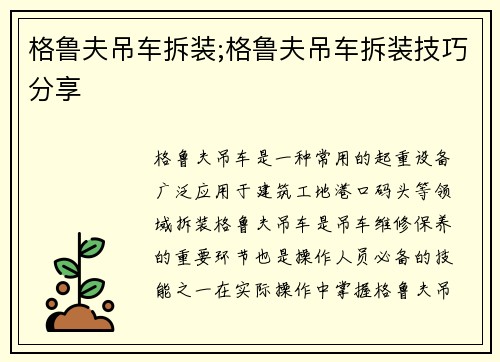 格鲁夫吊车拆装;格鲁夫吊车拆装技巧分享